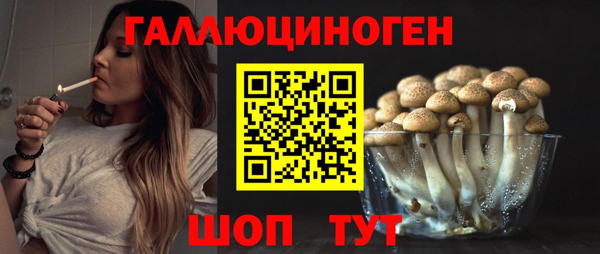 Псилоцибиновые грибы Psilocybe Похвистнево